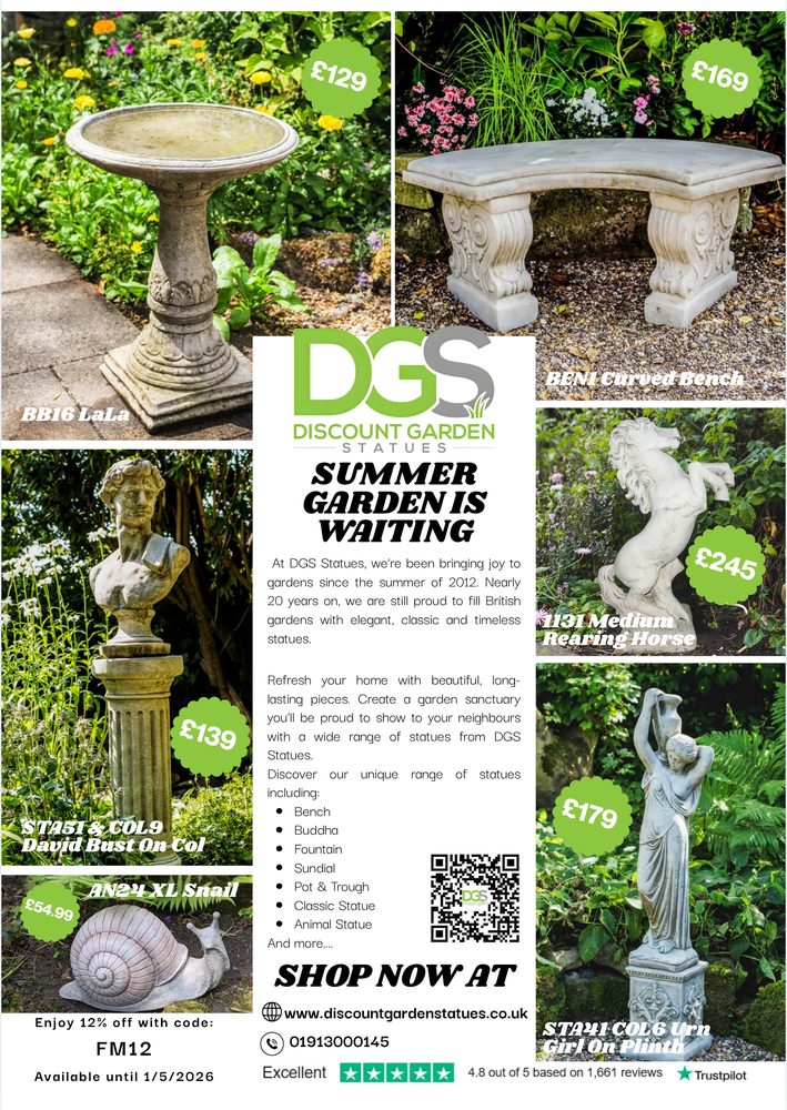Magazine Design sample